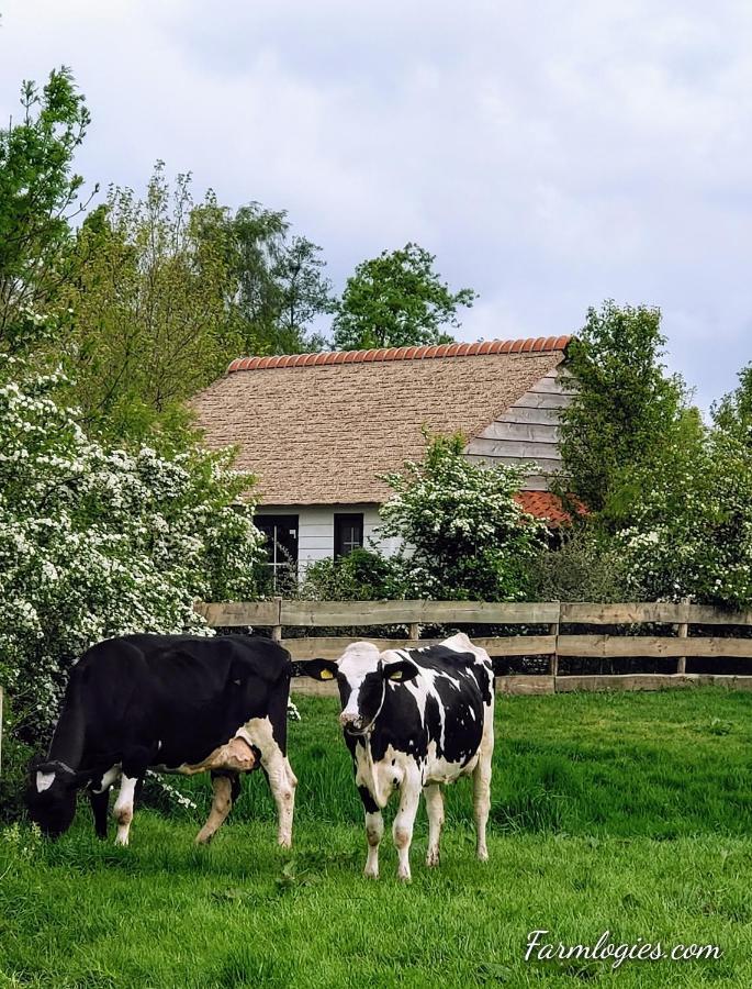 Mariahoeve-Logies #Boerenhuis Woubrugge Kültér fotó
